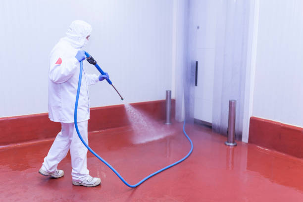 Trusted Antigo, WI Pressure Washing Services Experts